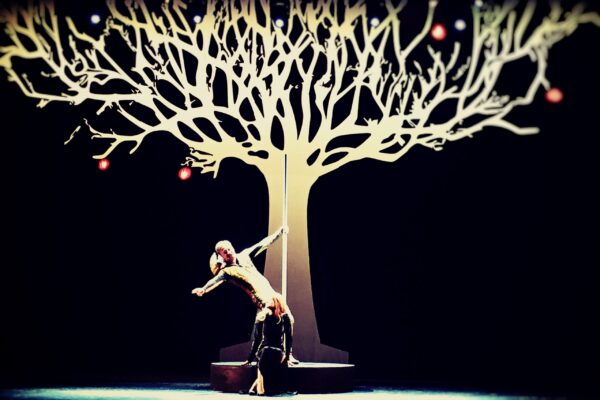 Teatrul National Iasi-folie ghiaccio printata 1